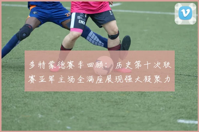 多特蒙德赛季回顾：历史第十次联赛亚军主场全满座展现强大凝聚力